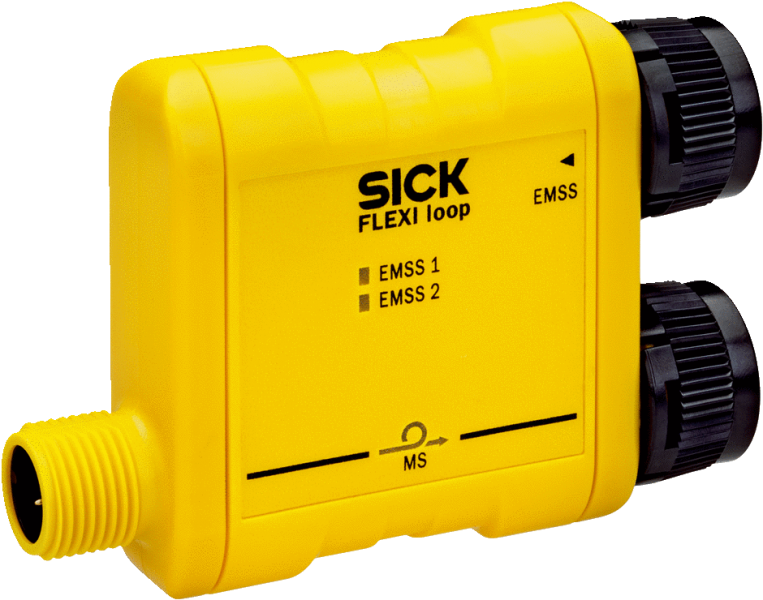 FLN-EMSS0000105