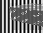 DT50-2B215552