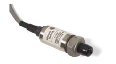 Электронный датчик давления P499