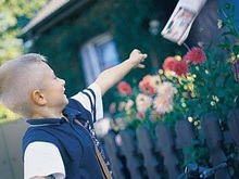 Малые распределительные шкафы SIMBOX 63/LC/WP - Распределительные шкафы