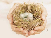 Системы автоматизации зданий с instabus EIB - Электроустановочная техника