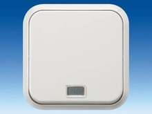 Pushbutton with Window - Switches and Pushbuttons